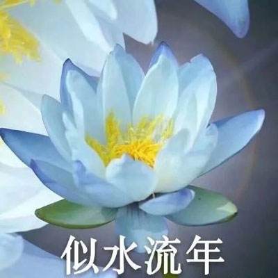 苹果宣布2026全球开发者大会将于6月举办，预告“人工智能重大进展”